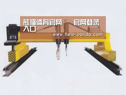 产品名称十七