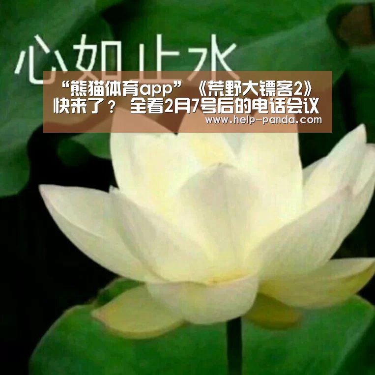 “熊猫体育app”《荒野大镖客2》快来了? 全看2月7号后的电话会议(图4) 熊猫体育app