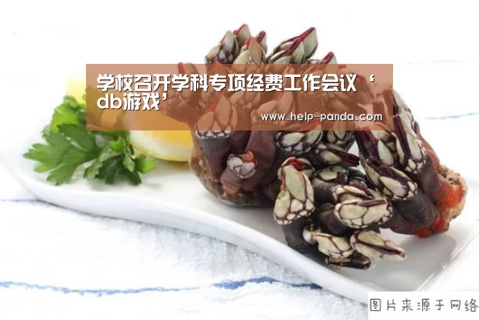 学校召开学科专项经费工作会议‘db游戏’(图3) 熊猫体育app