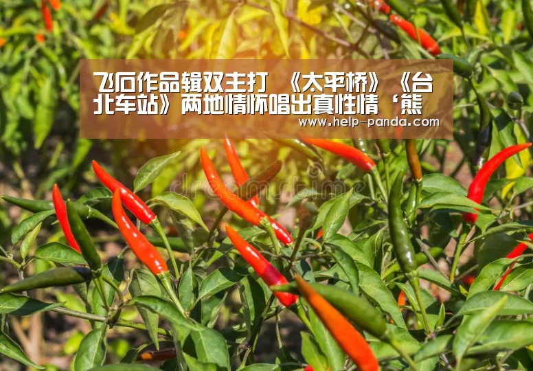 飞石作品辑双主打 《太平桥》《台北车站》两地情怀唱出真性情‘熊猫体育app’(图2) 熊猫体育官网