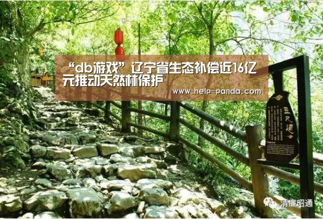 “db游戏”辽宁省生态补偿近16亿元推动天然林保护(图1) 熊猫体育