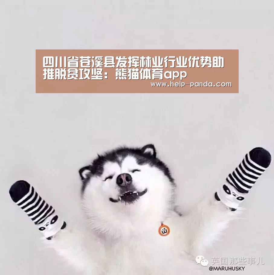 四川省苍溪县发挥林业行业优势助推脱贫攻坚:熊猫体育app(图1) 熊猫体育