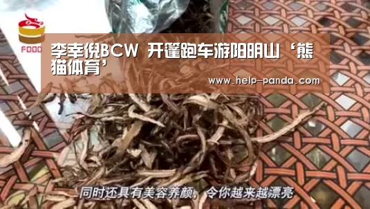 李幸倪BCW 开篷跑车游阳明山‘熊猫体育’(图1) 熊猫体育app