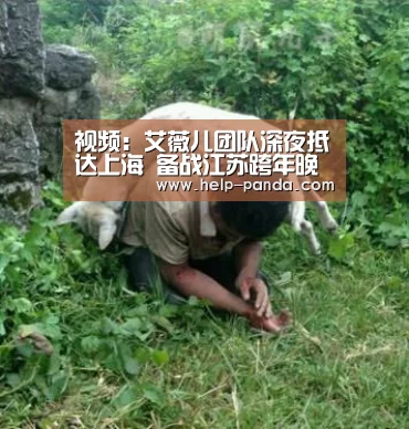 视频:艾薇儿团队深夜抵达上海 备战江苏跨年晚会_熊猫体育app(图1) 熊猫体育